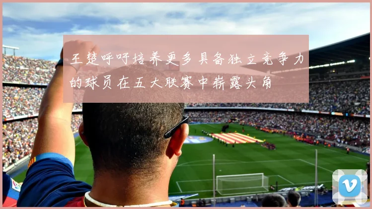 王楚呼吁培养更多具备独立竞争力的球员在五大联赛中崭露头角